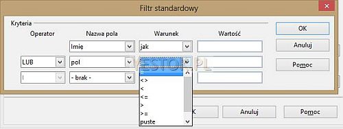 Konstruowanie filtra standardowego.