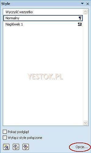 Lista okienka dialogowego Style w nowym, pustym dokumencie.
