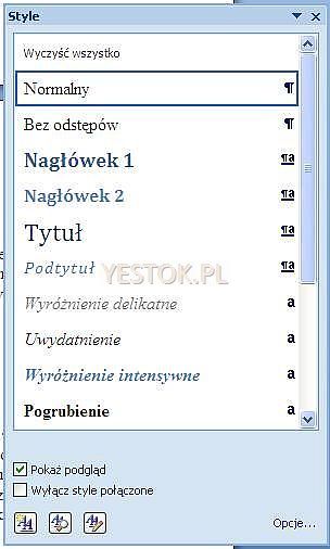 Okno Style w programie Word 2007